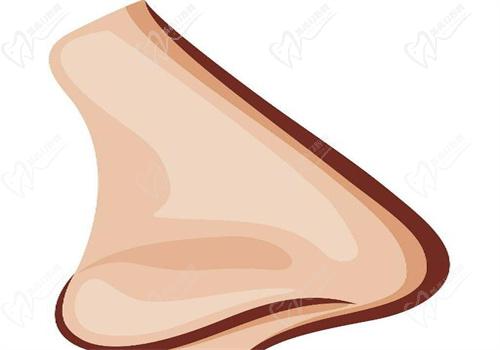 韓嘉毅是從九 院出來(lái)的嗎