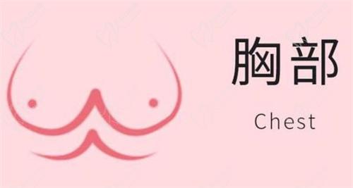 珠海韓妃全城招募美胸模特，僅限3名入選后享受超低隆胸折扣價