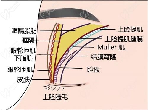 師麗麗雙眼皮修復(fù)成功率大嗎？看了好多真人修復(fù)實(shí)例和口碑評(píng)價(jià)無黑料